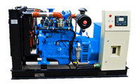 NTAA855 natural gas  generator set