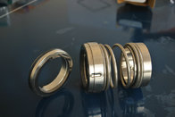 Replacement O Ring Rotary Shaft Seals mechanical seal for pumps