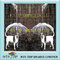 PVC and Poe Pet, Cat, Dog Umbrella Manufacturer supplier