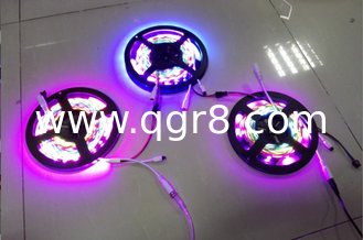 China Stand-alone Built-in Effects Digital Pixel SPI LED Strip with 300 stand alone effects plug play no need controller supplier