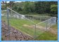 5-ft x 50-ft Galvanized Steel Chain-Link Fence Fabric for rural fencing supplier