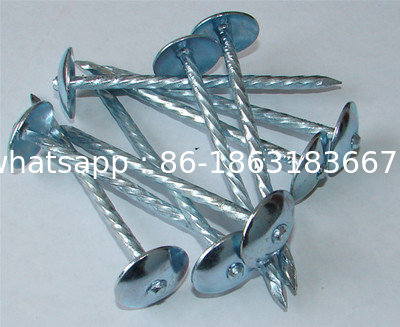 Galvanized Roofing nails