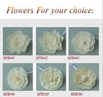 Sola Wood Flower for perfume diffuser ---flower for your choice
