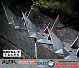 304SS Razor Wall Spikes, Steel Fence Spike (China Wall Spikes Exporter)