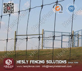Hesly Woven Mesh Fencing category