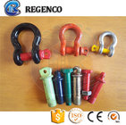 Galvanized Screw Pin US Type Steel Drop Forged D Shackle