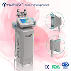 5 Handpieces cold lipolysis criolipolisis 2016 body weight loss sculpting slimming freeze fat Cryolipolysis machine