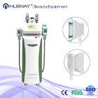 Professional Pulse Cryolipolysis Fat Freeze Slimming Machine with CE