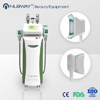 2017 Lastest Professional Cryolipolysis fat freeze Machine for Weight Loss