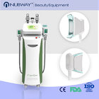 Stubborn fat killer! cryolipolysis fat freeze slimming machine with CE certification