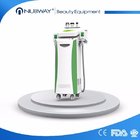 5 Handpieces cold lipolysis criolipolisis 2017 body weight loss sculpting slimming freeze fat cryolipolysis machine for