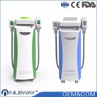 2017 best results -15 centigrade cryolipolysis slimming machine with 2 cryo handles that can work together