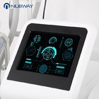 Cryotherapy 3d fat Freezing beauty fat weight loss 4 handles  to protective membrane device