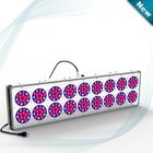 600W Greenhouse Cidly LED Light 6 band Color Modudle Design LED Grow Light 18 CE Rohs