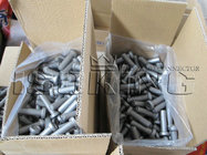 Best M13*70, M16*90 Stainless Steel Shear Connectors with ISO for steel building