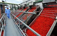 Tomato Paste Plant, tomato processing line
