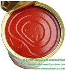 Chinese Canned Tomato paste/Tomato paste in tin can/Tomato jam/tomato ketchup/tomato sauce