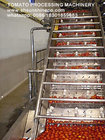 Supply high efficiency tomato processing plant/tomato paste production line/ tomato process/ tomato plant Italy technolg