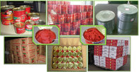 Chinese Supplier of Canned Tomato paste/Tomato paste in tin can/Tomato jam/tomato ketchup/tomato sauce
