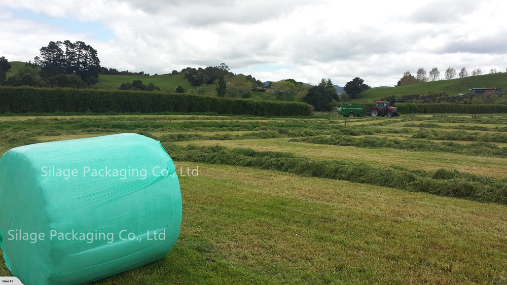 Green Color 750mm*25um Blown Silage Film for New Zealand
