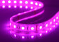 Offices IP65 Low Voltage Led Strip Lights , 120° Angle RGB 5050 Led Strip supplier