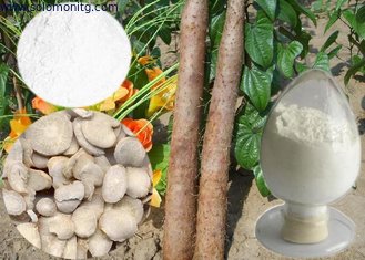 100% Nature Wild Yam Extract/wild Yam Extract Powder/Wild Yam Powder