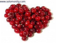 Anti Oxidant Cranberry Extract, Cranberry Extract with Proanthocyanidins for healthcare ingredient application