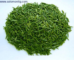 Supplier Natural Green Tea Extract Polyphenols -Export High Quality Green Tea Extract HPLC