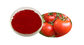 100% Natural 5%-40% lycopene tomato extract by HPLC with rich experience in EU market