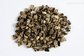 100% Natural Cimicifuga Racemosa Extract --Cimicifuga romose (L)Nutt