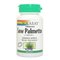 Natural 25-45% Fatty Acids Saw Palmetto Fruit Extract --Serenoa repens