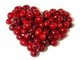 High Quality Cranberry fruit Extract --Vaccinium Macrocarpon L