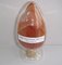 No essence no pigment grape flavor fruit juice concentrate powder (Vitis vinifera L) supplier