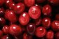 For beverage Spray Dried cranberry powder new product Cranberry juice powder