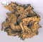 Improve Female Climacteric Syndrome Black Cohosh Extract -- Cimicifuga romose (L)Nutt