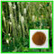 100% natural high quality 2.5% high quality black cohosh extract(triterpene glycosides)