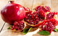 high quality Punica granatum, pomegranate extract 20%--40% punicalagin for Pharmaceutical grade