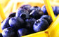 High Quality Organic Blueberry Extract , Natural Blueberry Fruit Extract Powder