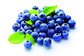 100% Natural Plant Extract 25% anthocyanins European Bilberry Extract