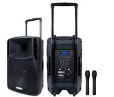 Portable 12 Inch Professional Audio Speakers 38mm 2 way Loudspeaker Painted box
