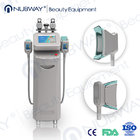 10.4 inch touch color screen 5 handles cryolipolysis liposuction machine on sale