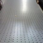 Carbon Steel Perforated Metal |Hot or Cold Steel Punching Sheet