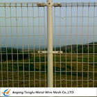 Double Ring Fence|Q 235 Ornamental Double-Loop Wire Mesh Fence 50X200mm