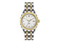 5 ATM Mechanical Watch with Stainless steel Band, Mens Mechanical Wrist Watches OEM supplier