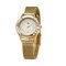 Women Jewelry Watch,  Stainless steel watch ,Luxury wrist  Watch,Wholesale Jewelry Watch with Japan Movt supplier