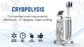 Highly Safety Freeze Fat Machine , Fat Removal Slim Freeze Fat Freeze Slimming Machine supplier
