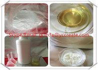 99 purity Steroids Powders Pharmaceutical Raw Materials Weight Loss Supplement Theobromine CAS 83-67-0