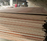 low price packing grade plywood from china