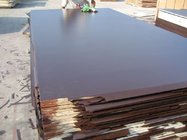 Brown Film-faced Plywood and Black Film Face Plywood, Construction Plywood