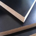 Concrete Framework Plywood/Formwork Plywood